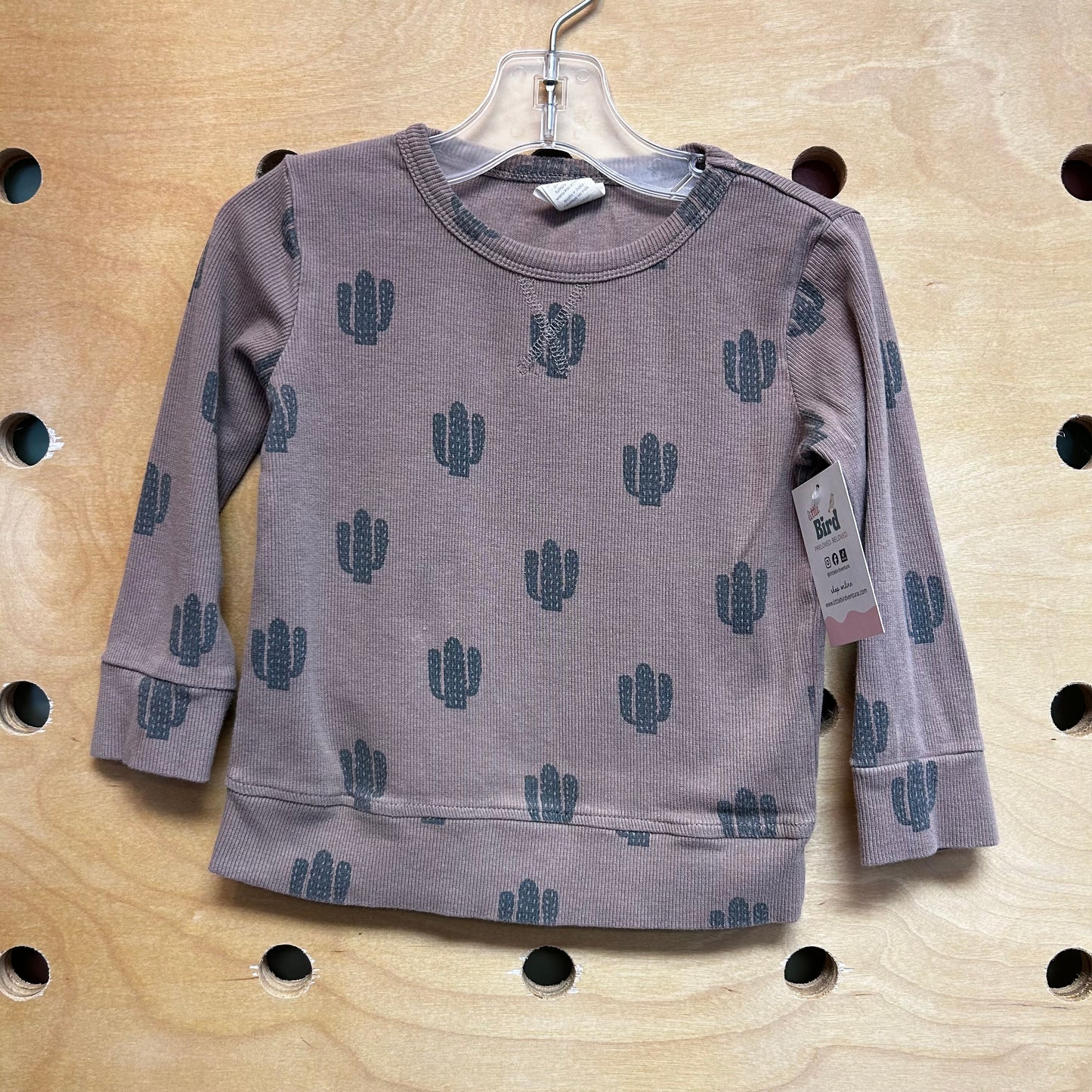 Organic Brown/Green Cactus LS