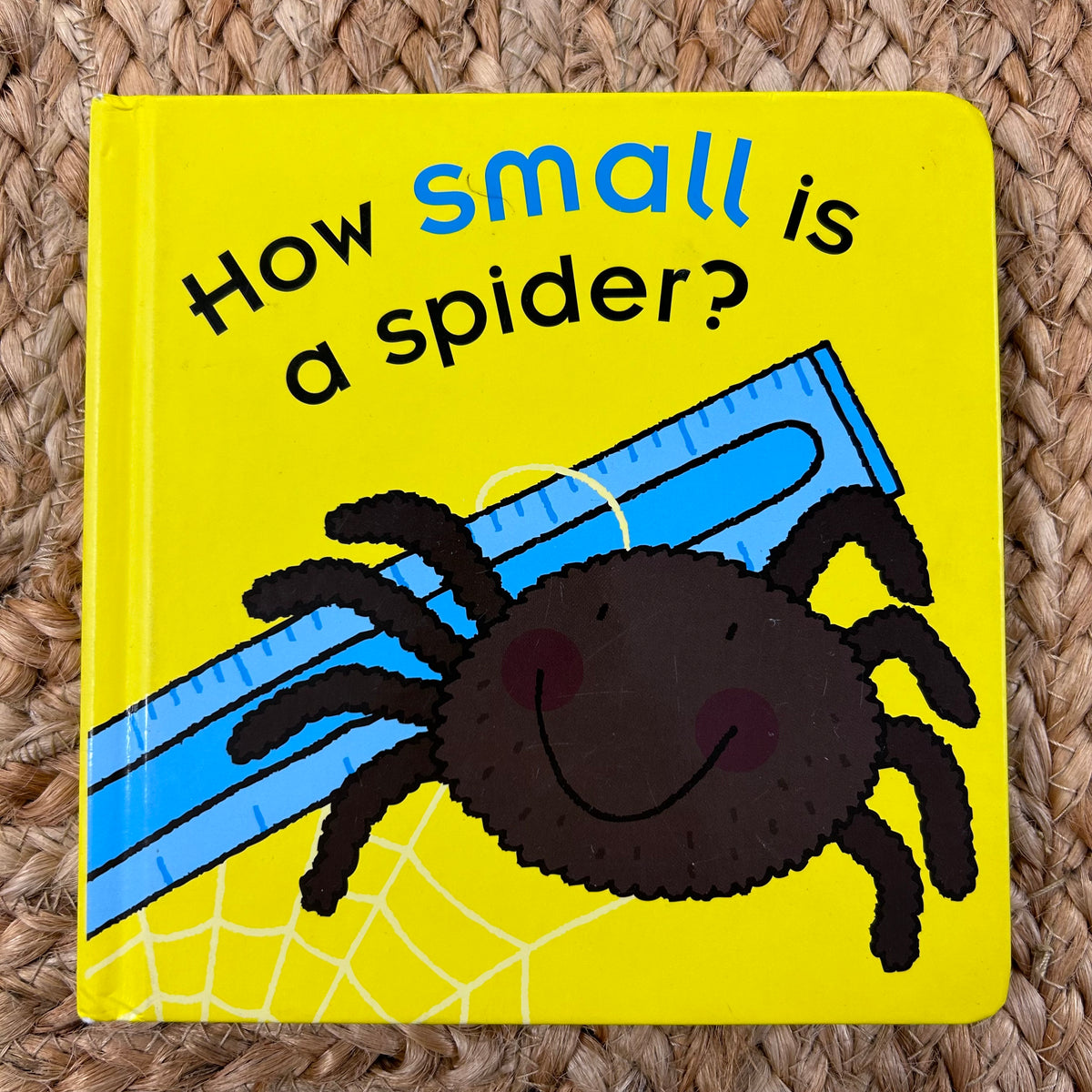 How Small is a Spider?