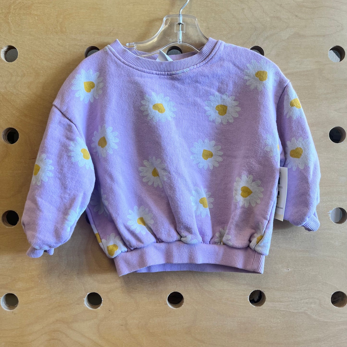 Purple Daisies Pullover