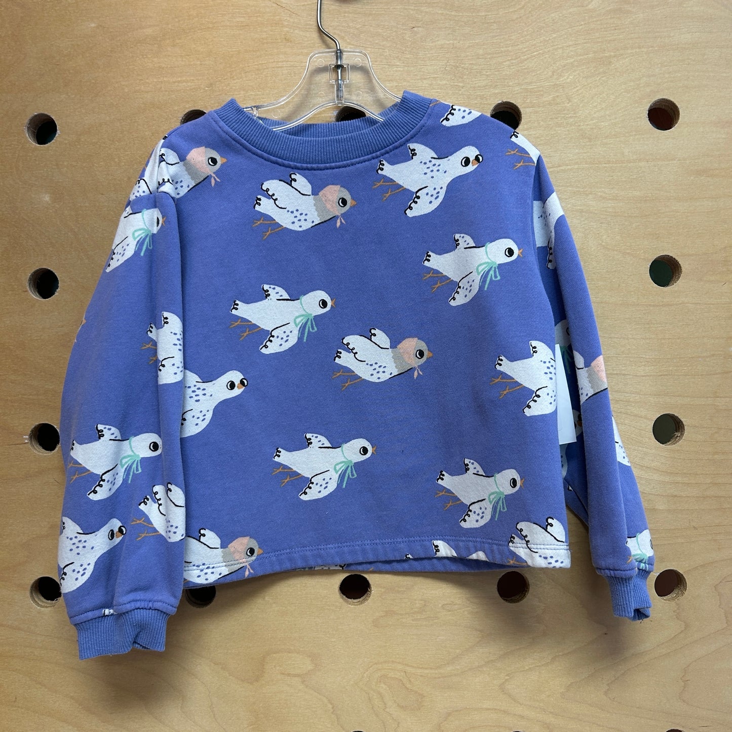 Purple Birds Pullover