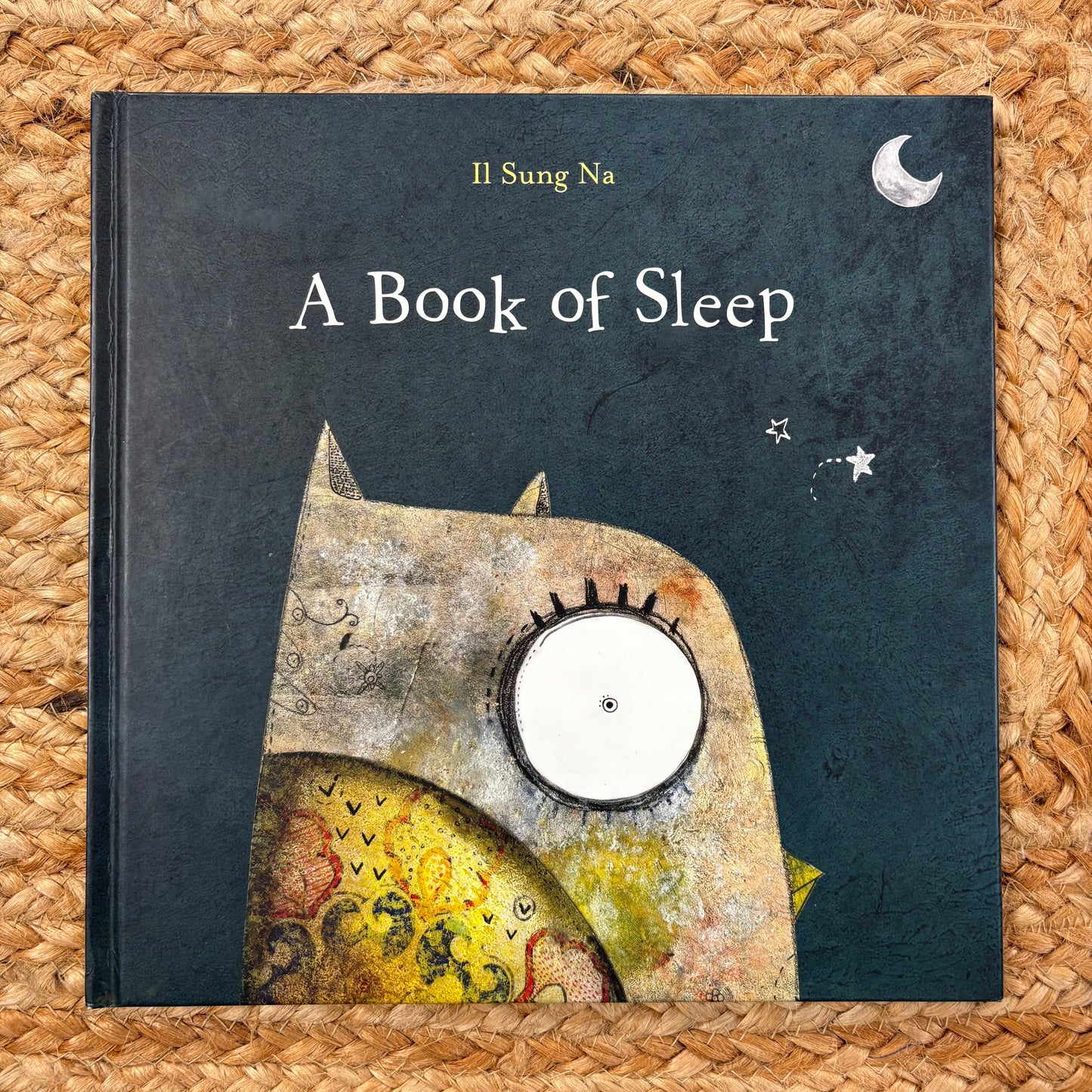 A Book of Sleep