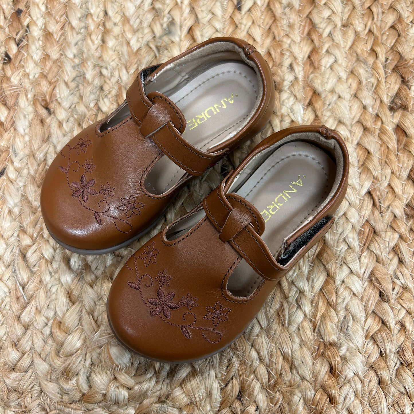Brown T-Strap Embroidered Shoes