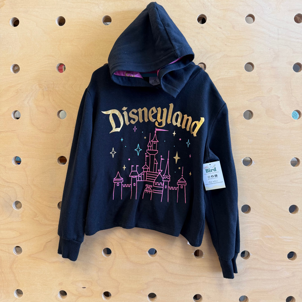 Black Disneyland Hoodie