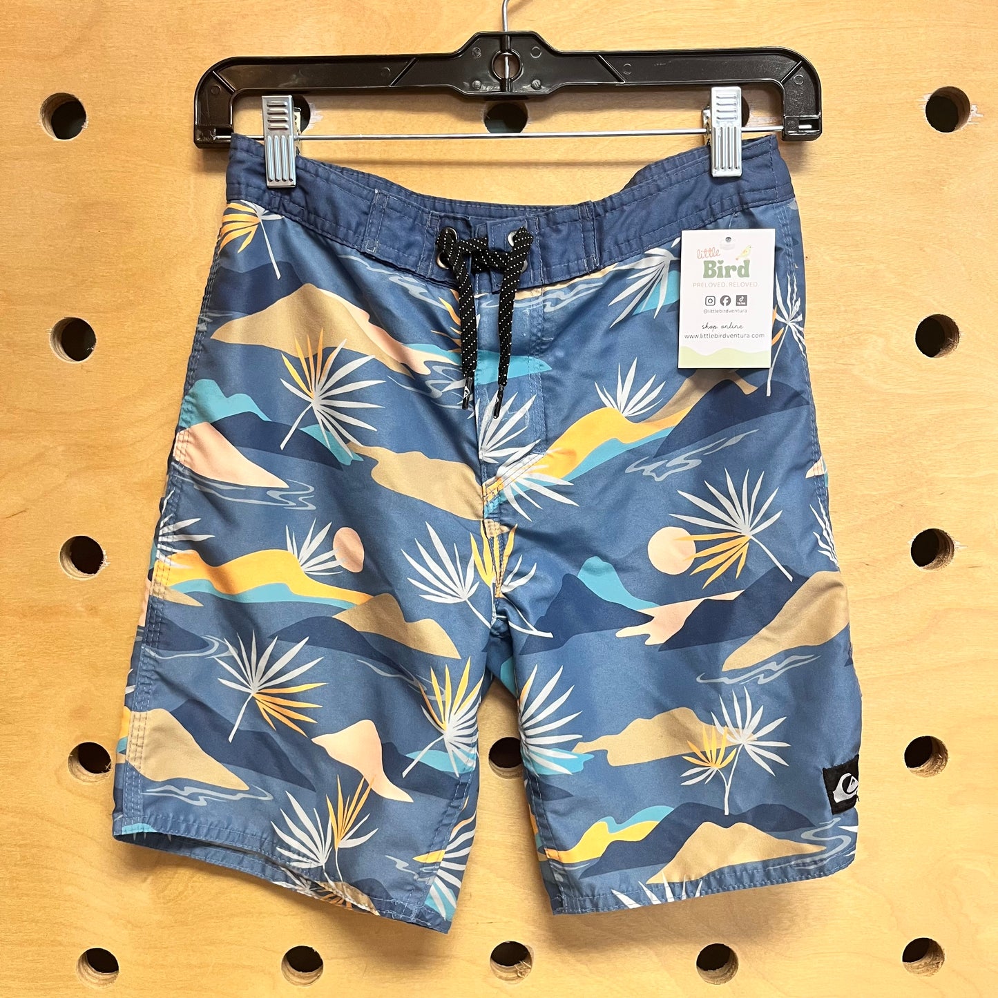 Blue Sunset Board Shorts