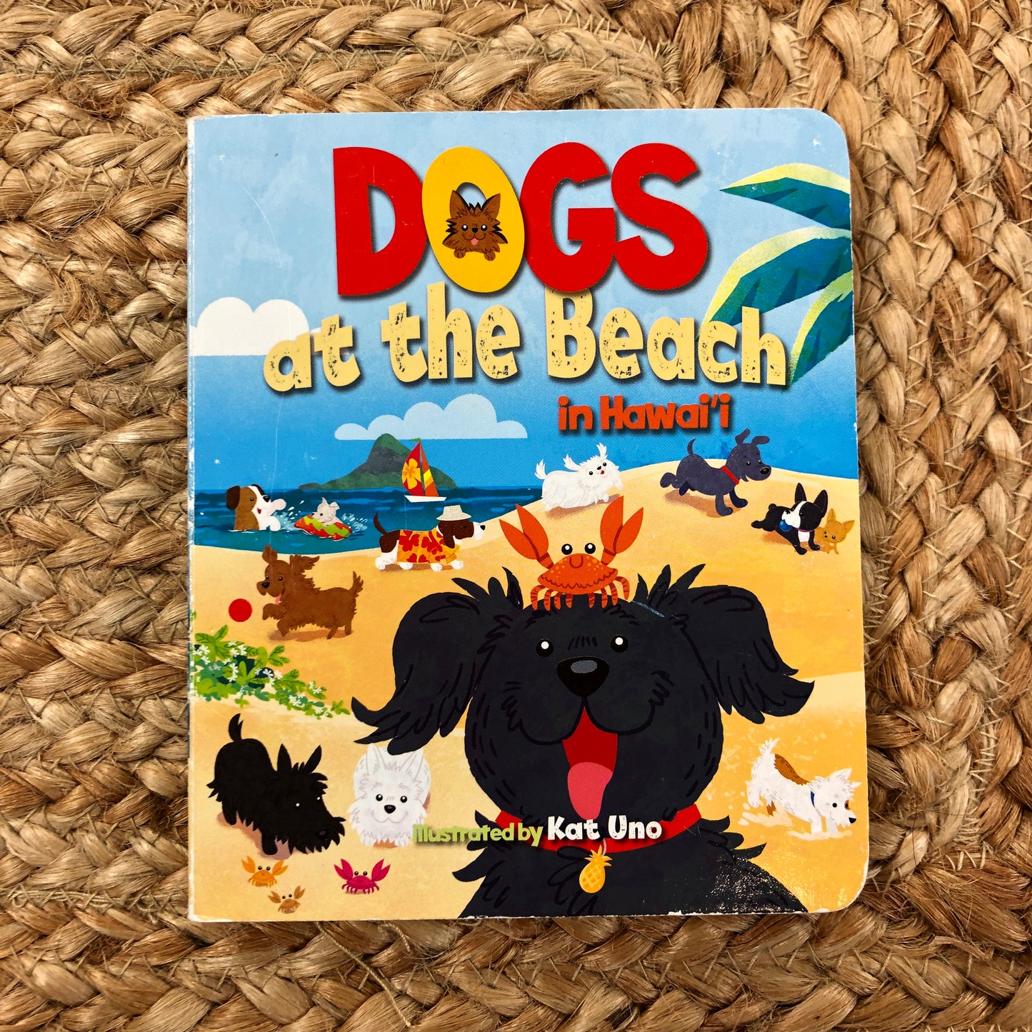 Dogs at the Beach