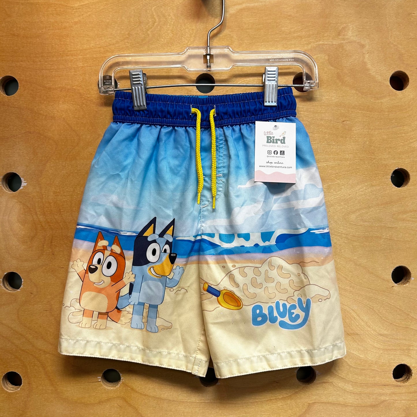 Beachy Bluey & Bingo Swim Shorts