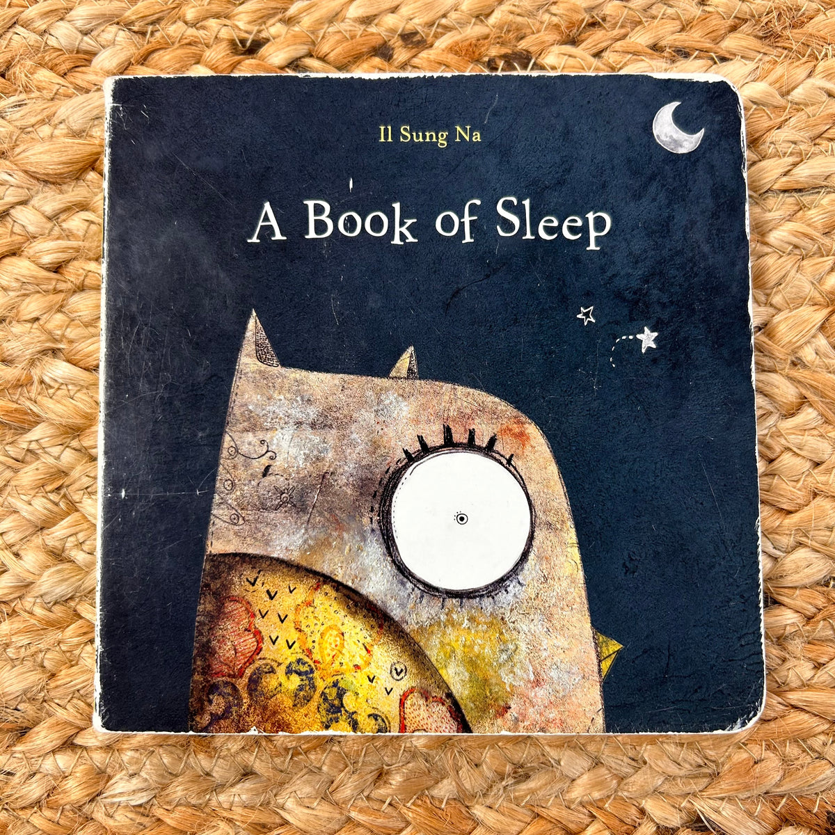 A Book of Sleep