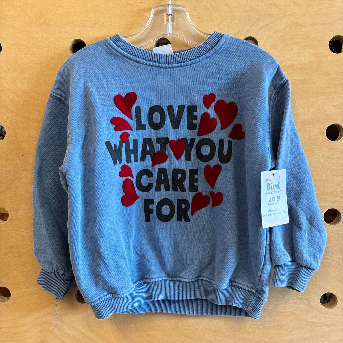 Blue 'Love What You Care For' Pullover