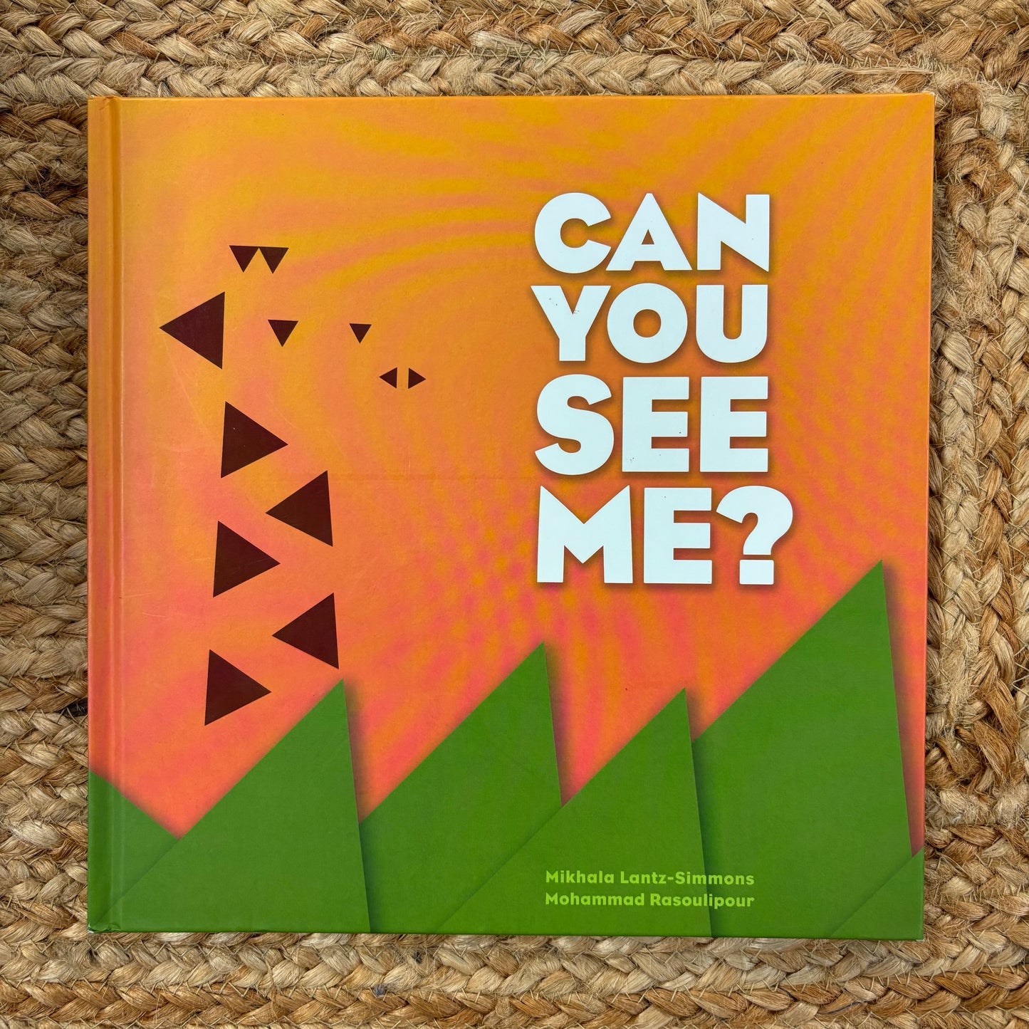 Can You See Me?