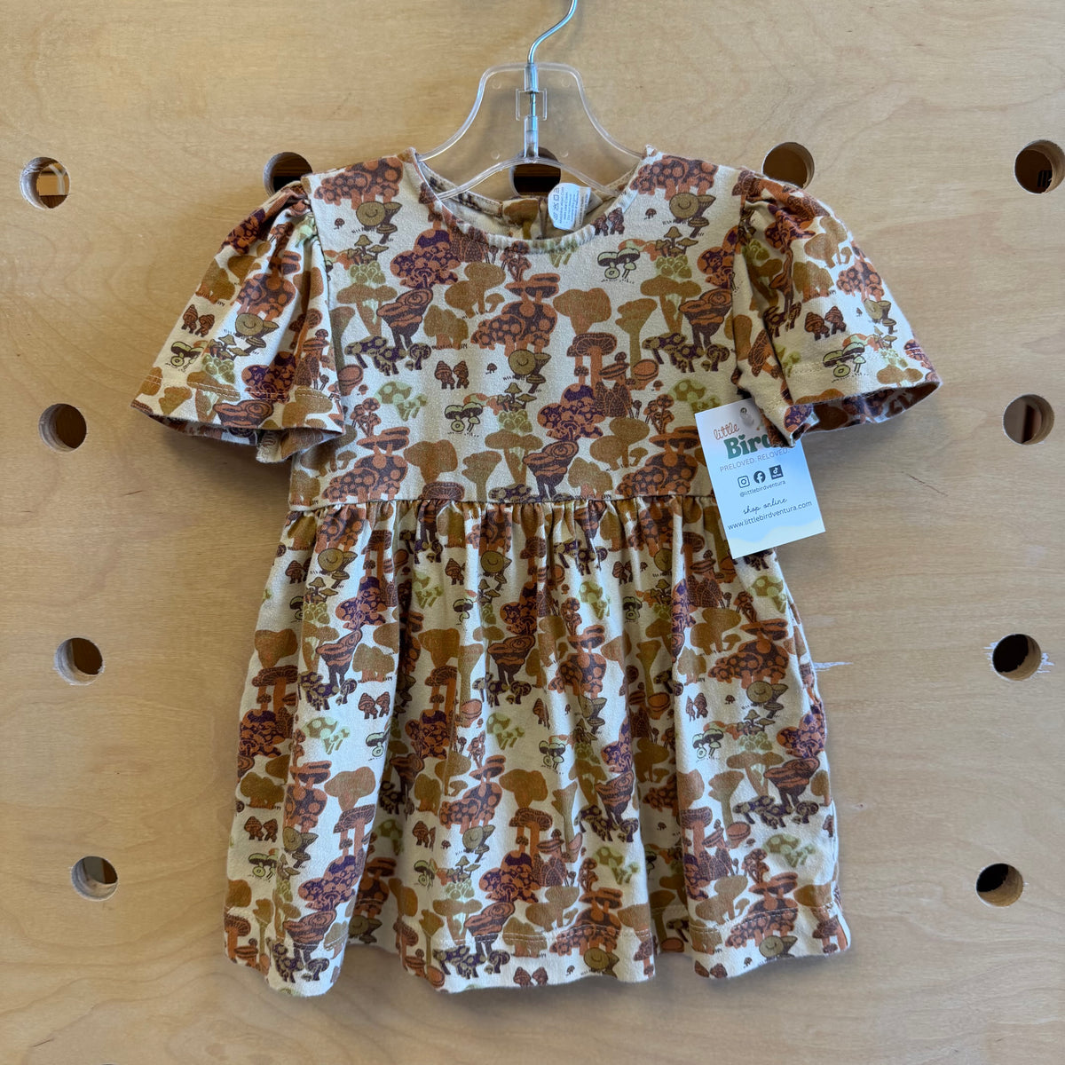 Organic Brown Mushrooms Dress