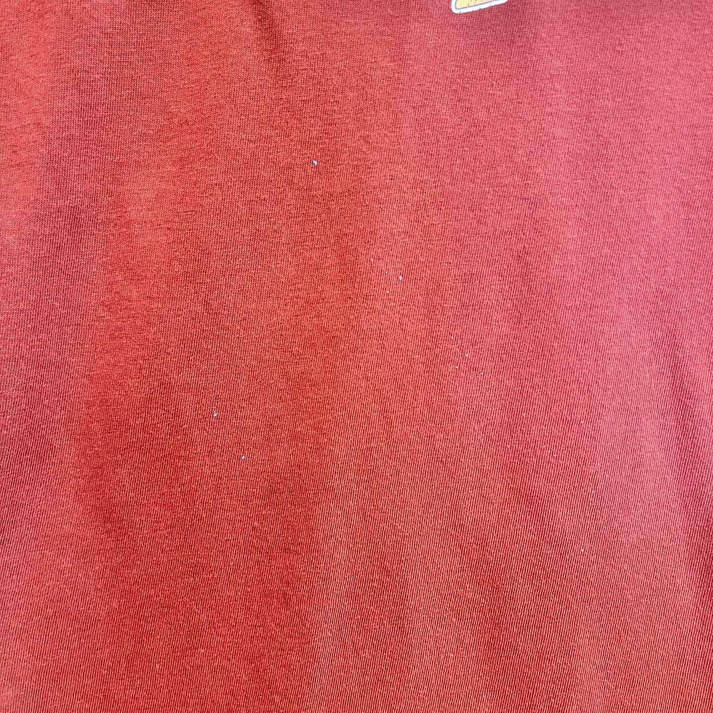 Rust Wild & Free Graphic Tee