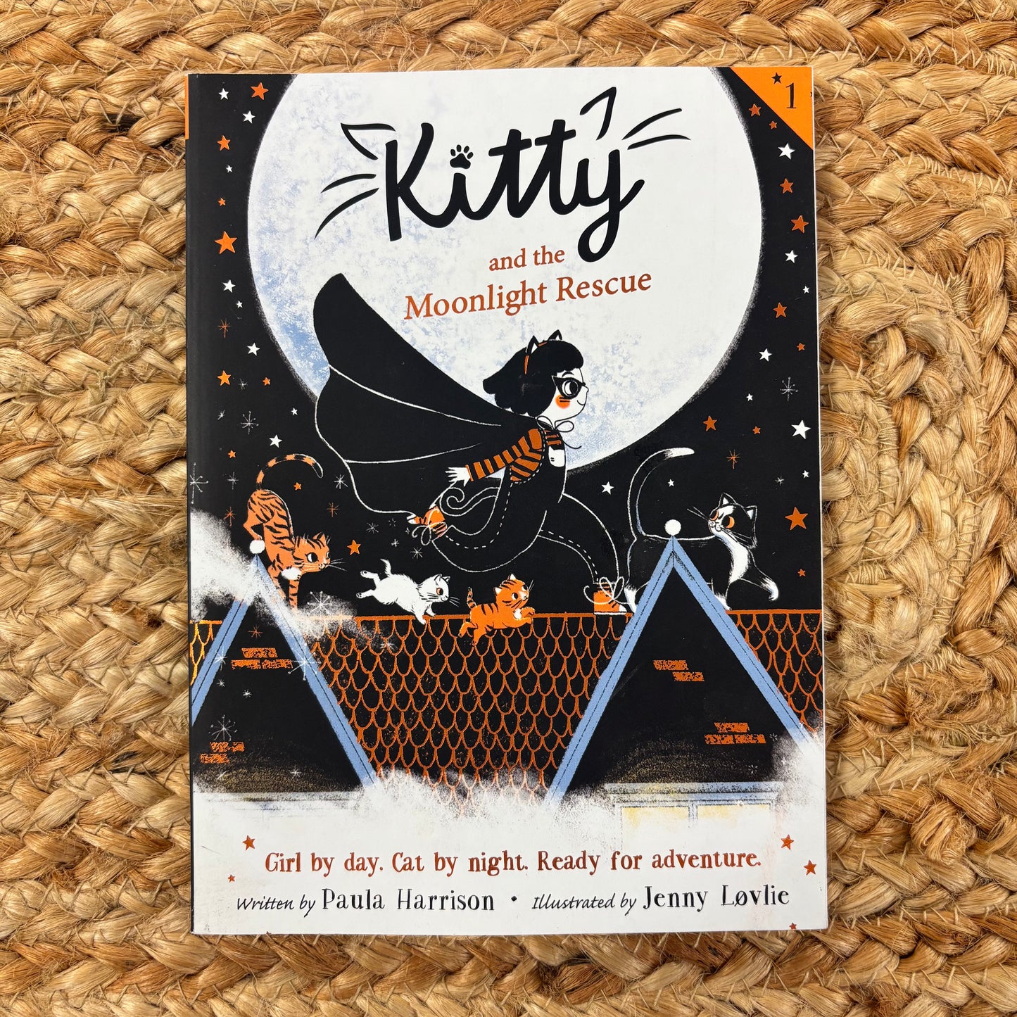 Kitty & the Moonlight Rescue
