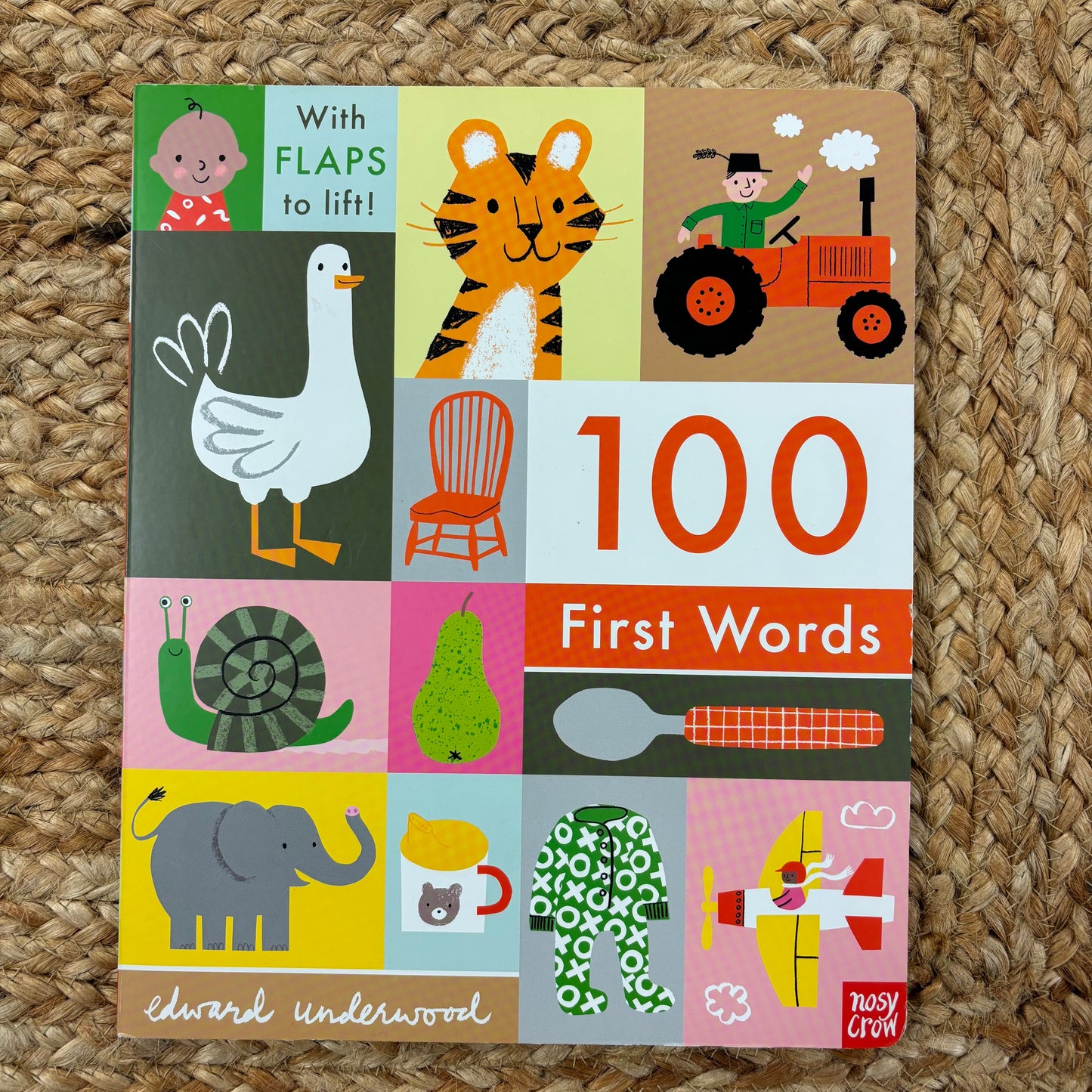 100 First Words with Flaps