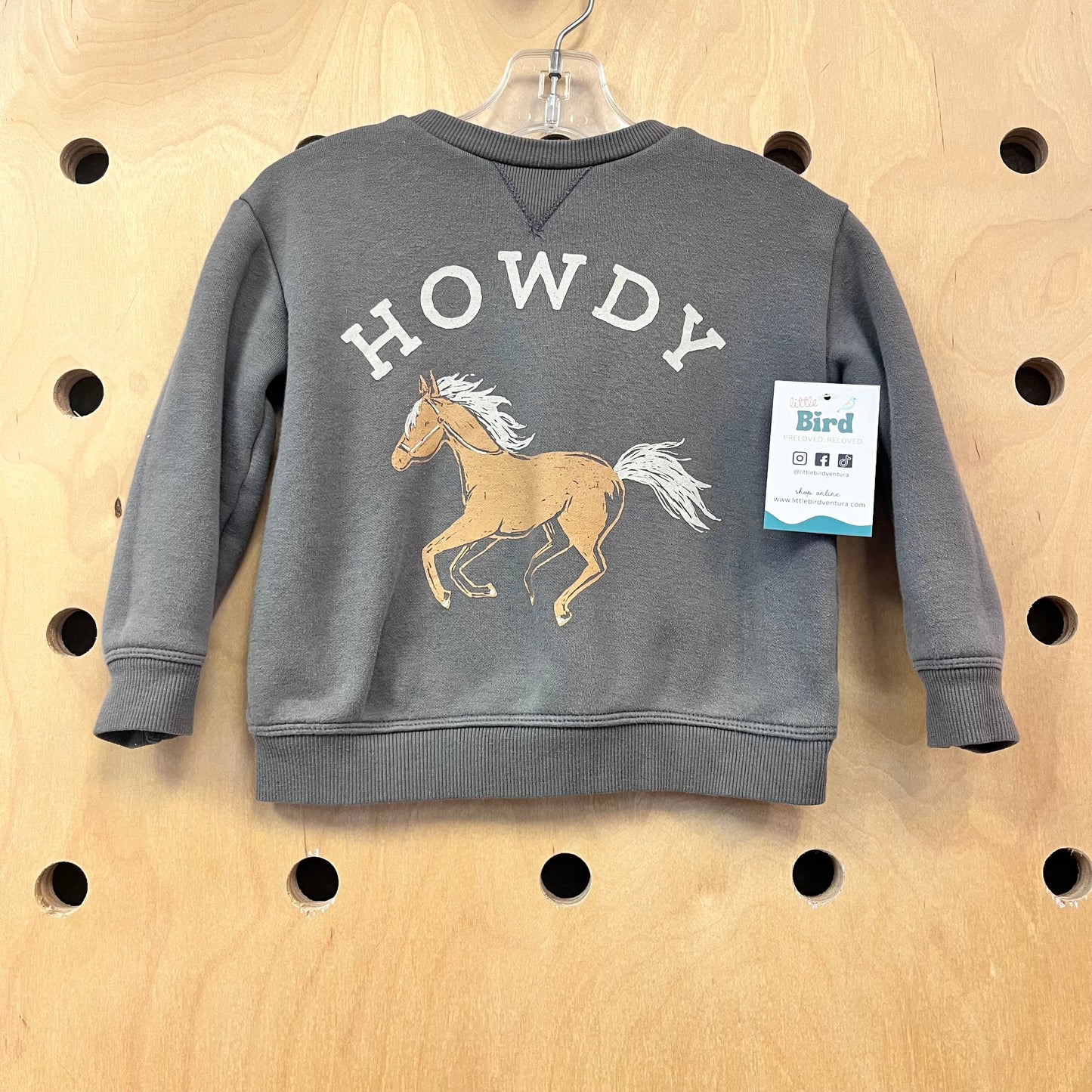 Grey HOWDY Pullover