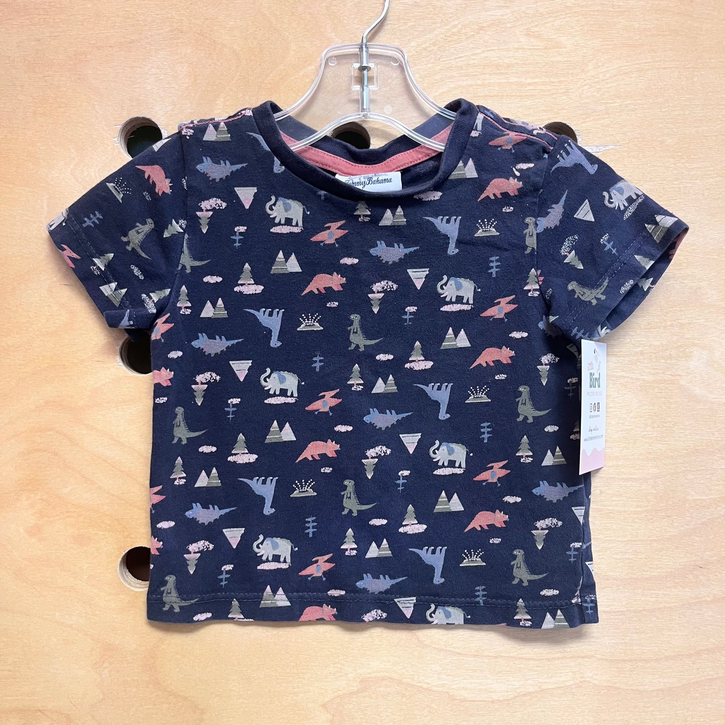 Blue Dinos Tee