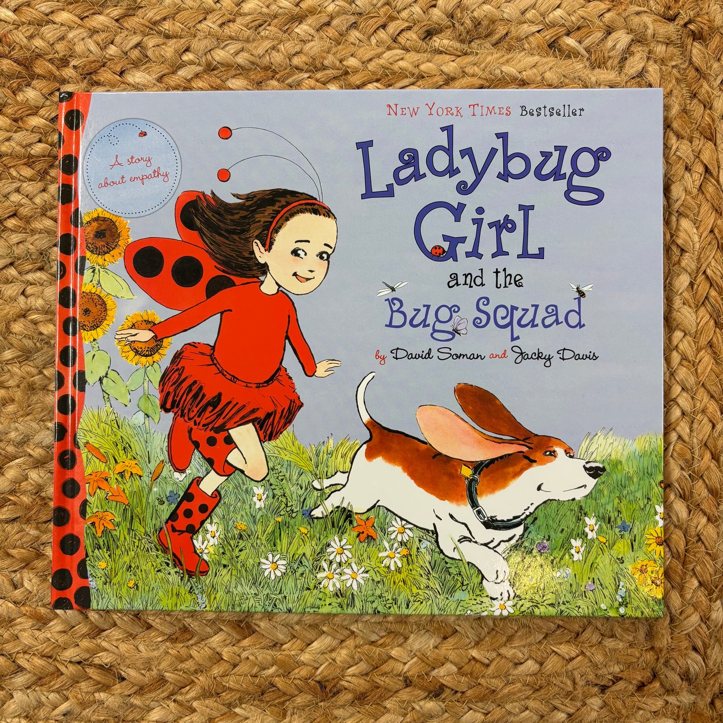 Ladybug Girl & the Bug Squad
