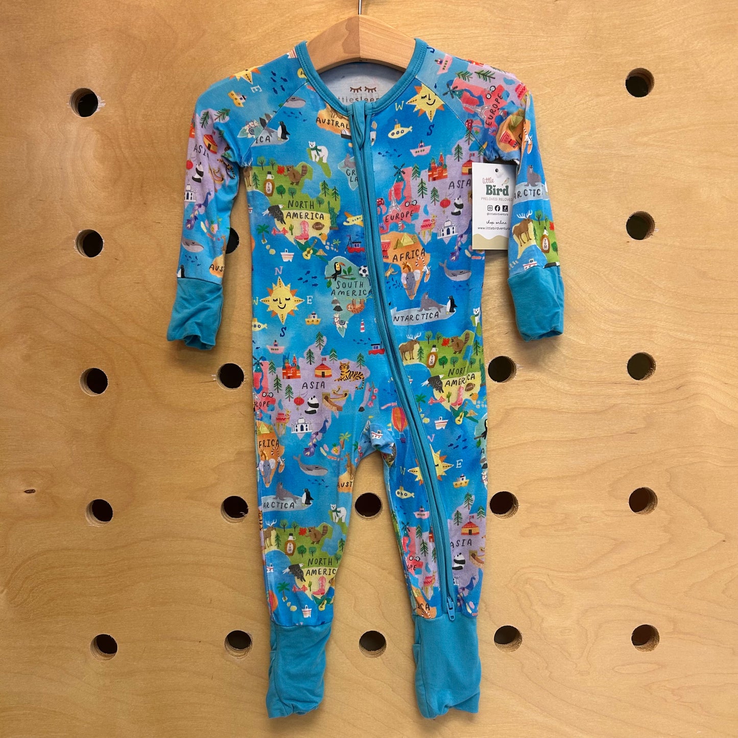 Blue World Map Bamboo Zippy