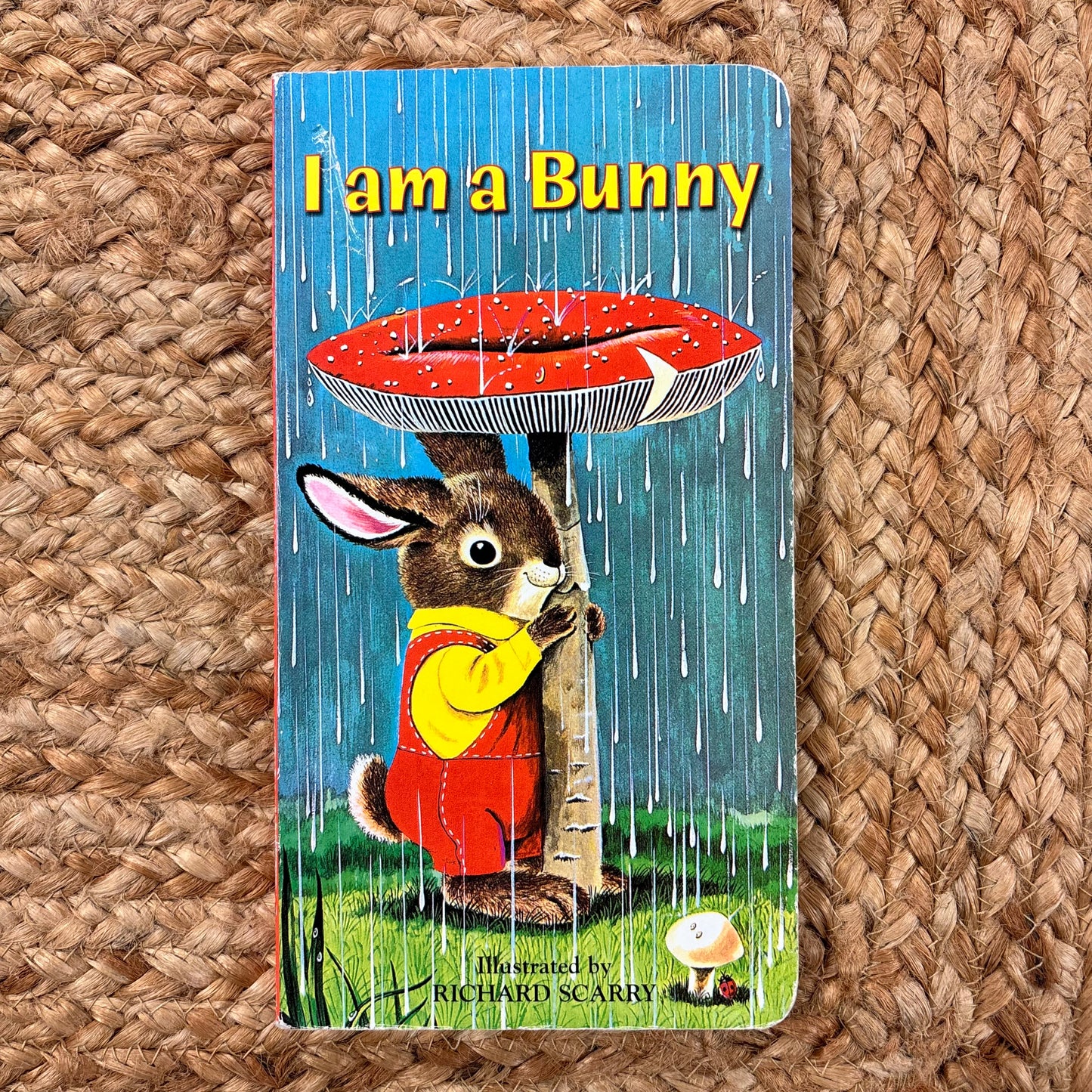 I am a Bunny