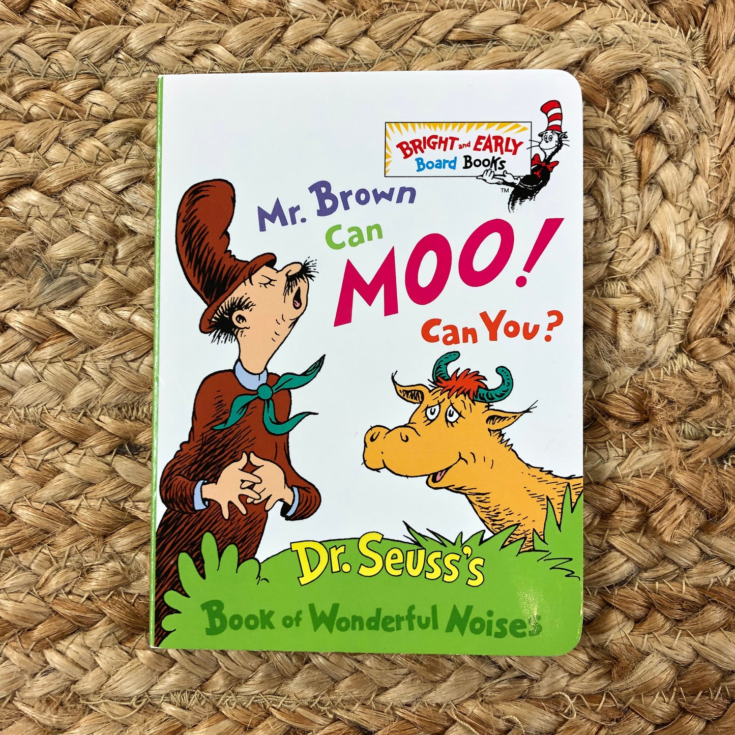 Mr Brown Can Moo! Can You?