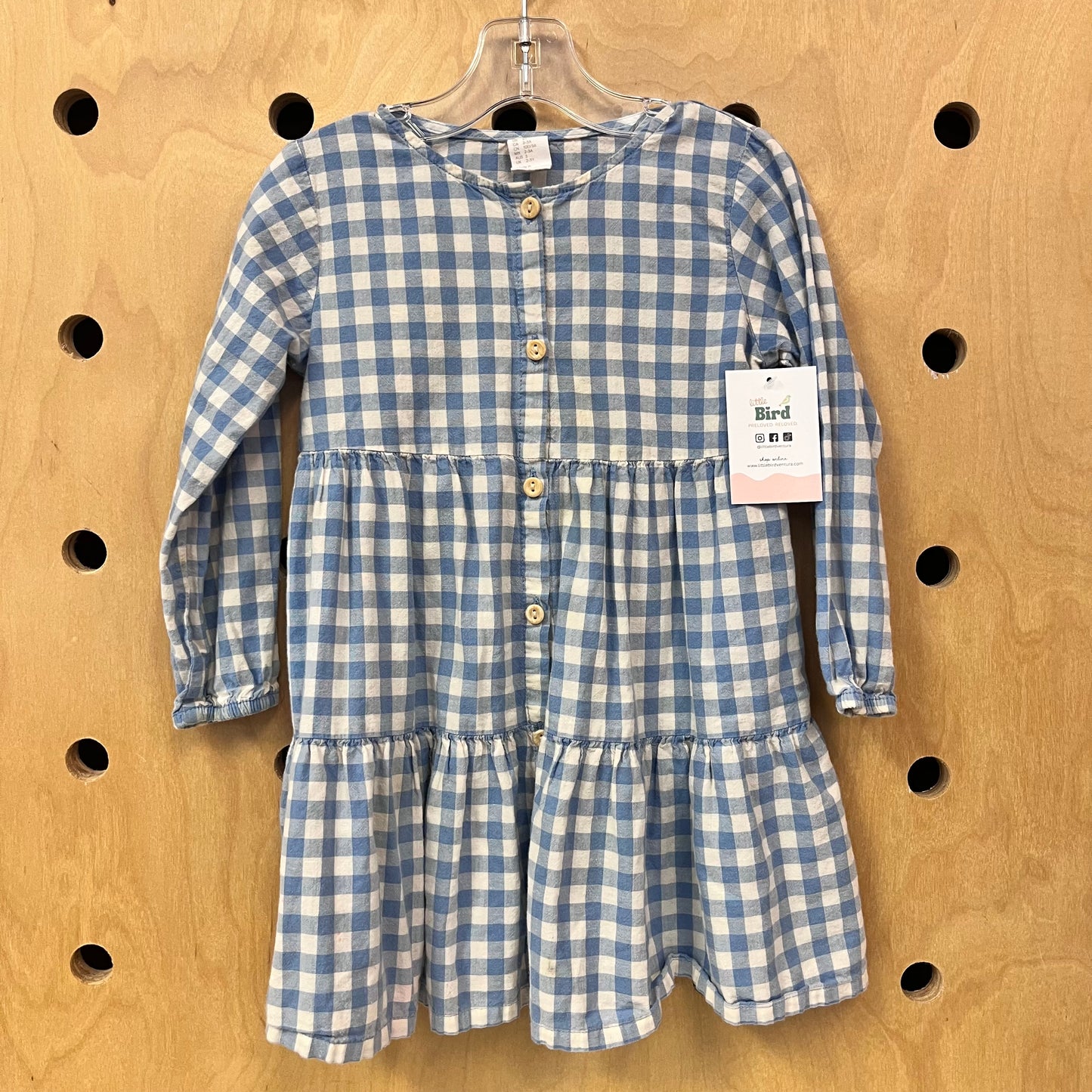 Blue Gingham Dress