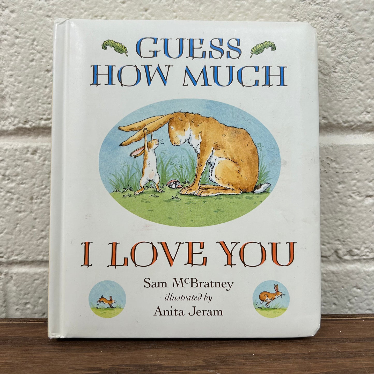 Guess How Much I Love You