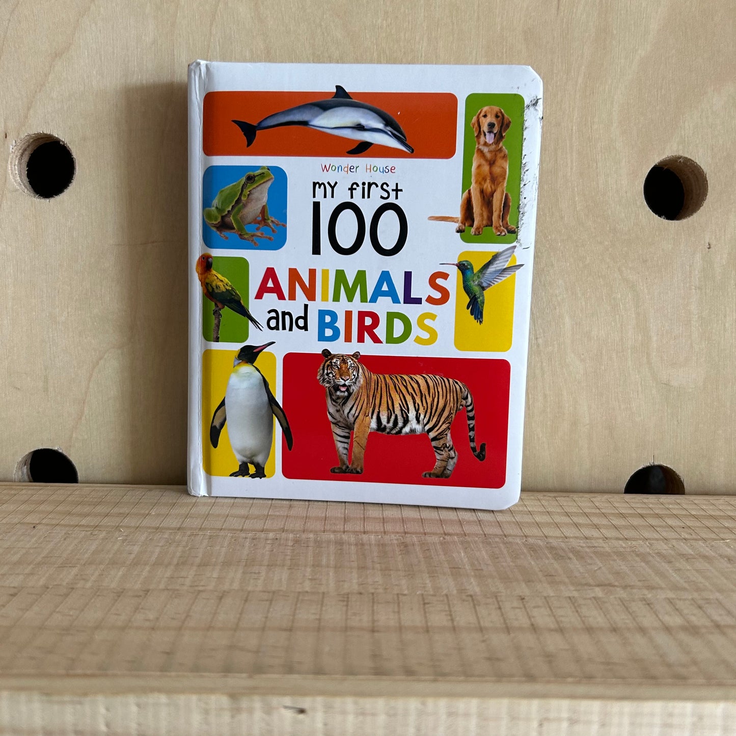 My First 100 Animals and Birds