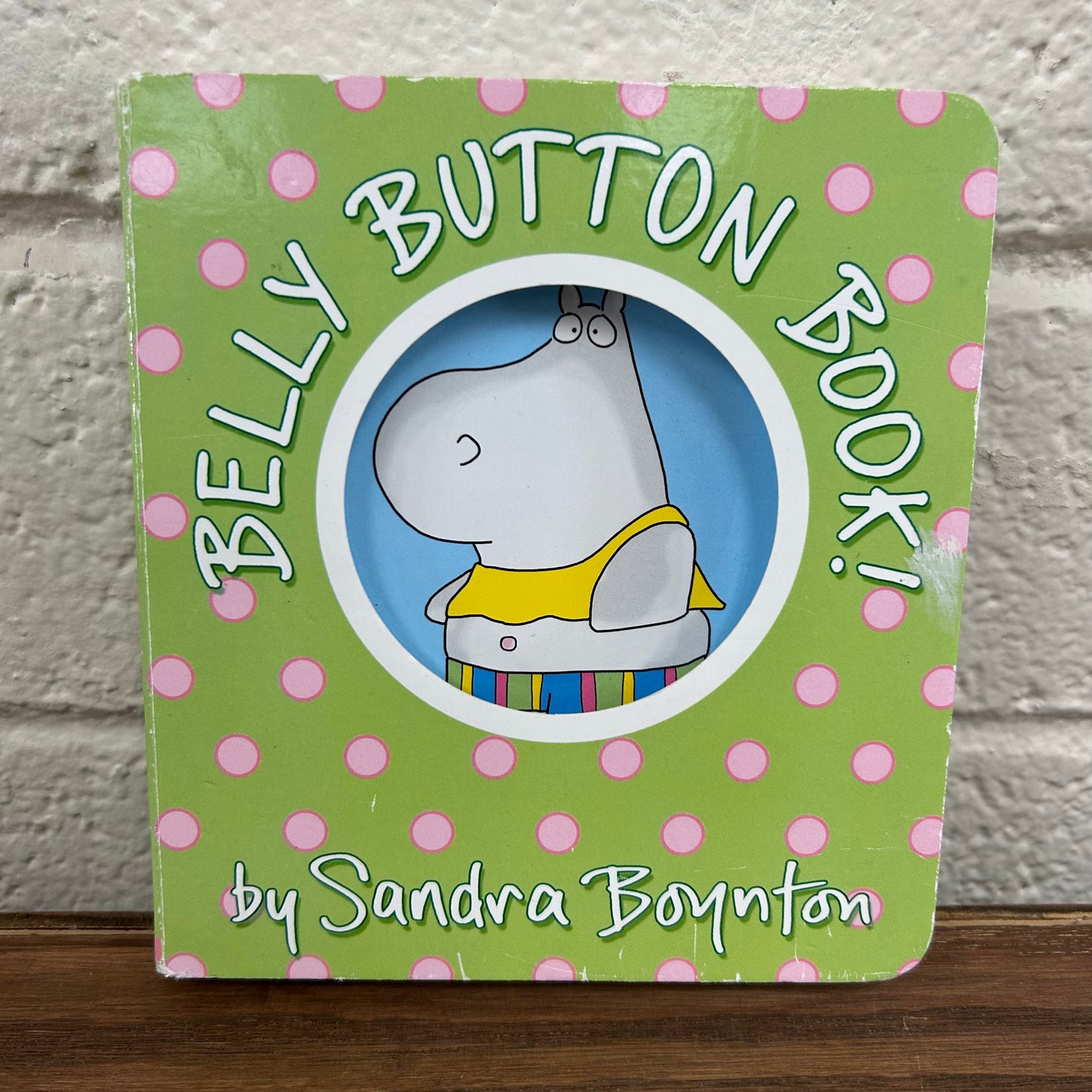 Belly Button Book!