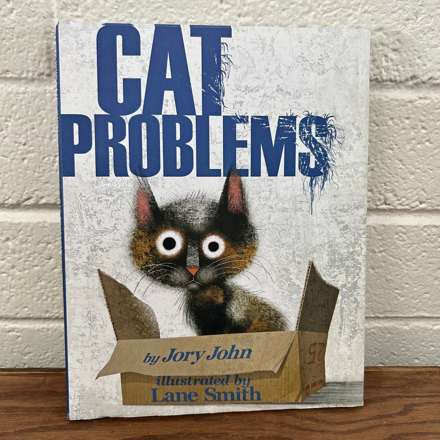 Cat Problems