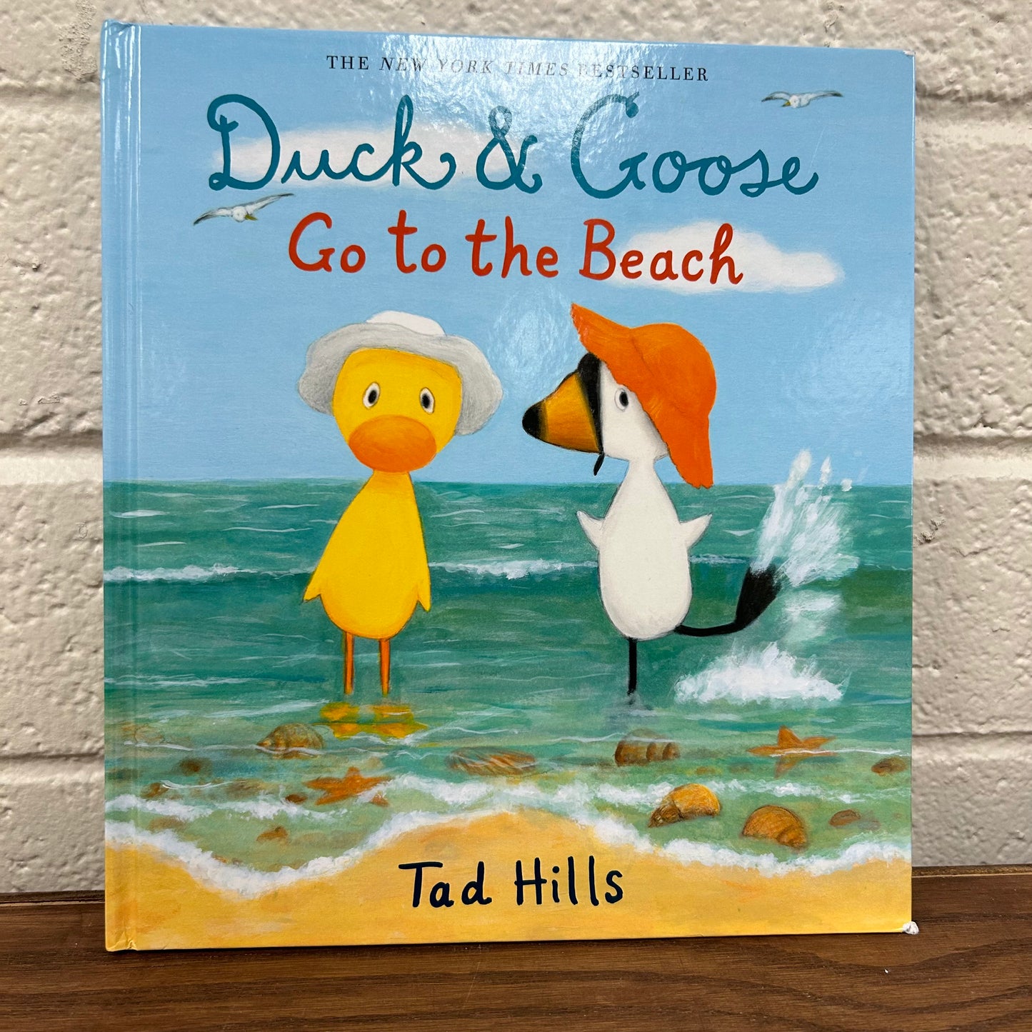 Duck & Goose Go to the Beach