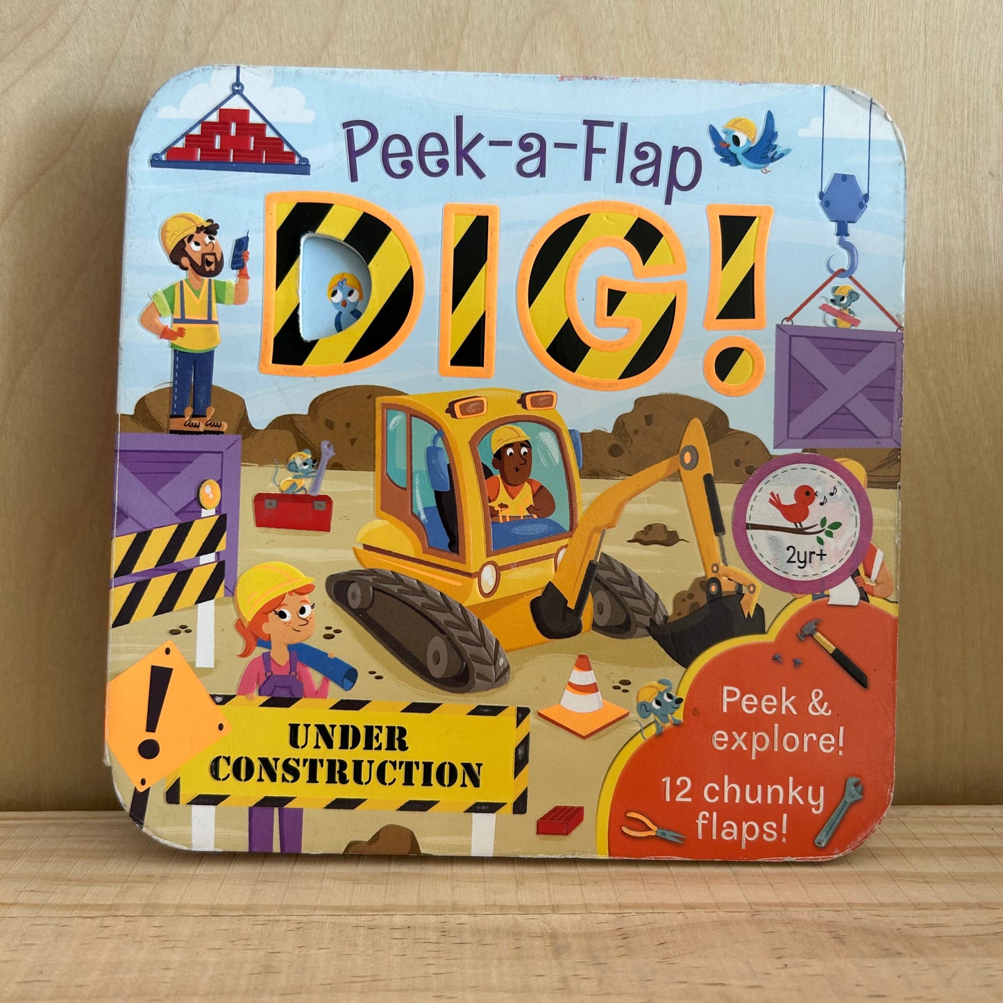Peek-a-Flap Dig