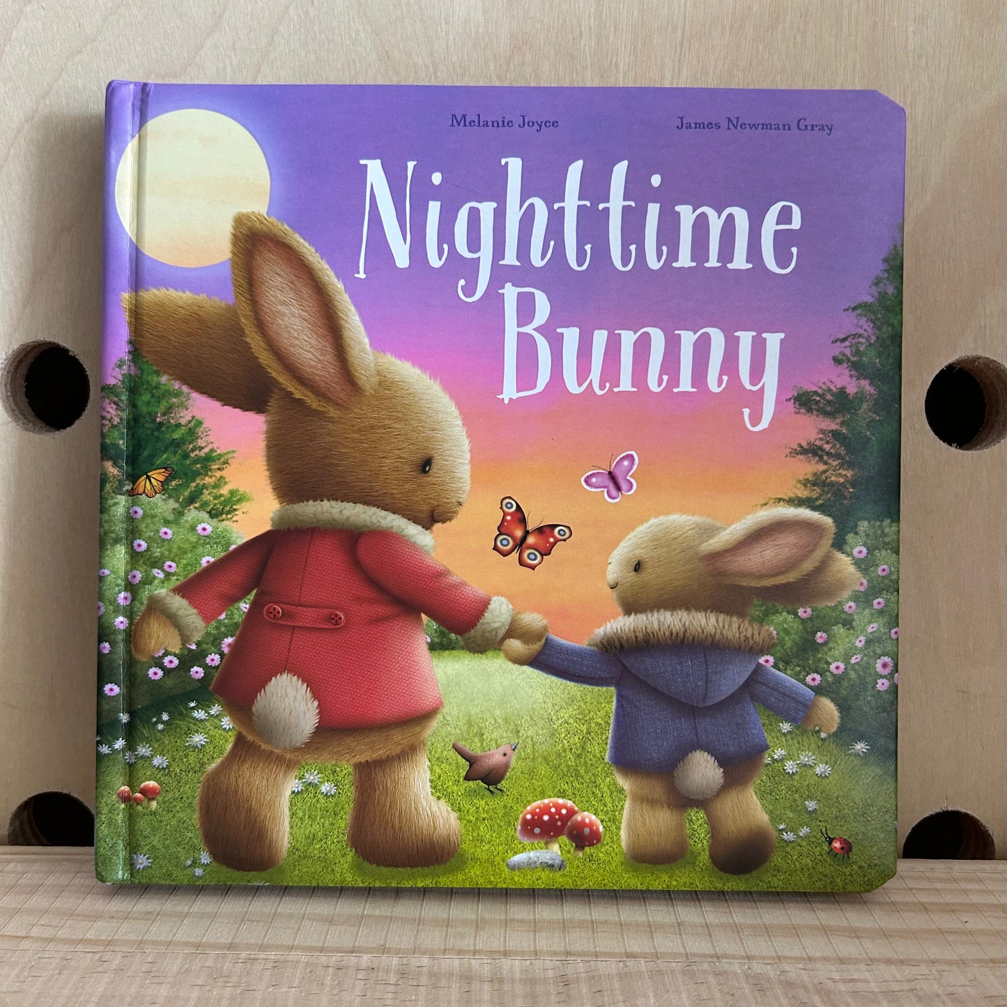 Nighttime Bunny