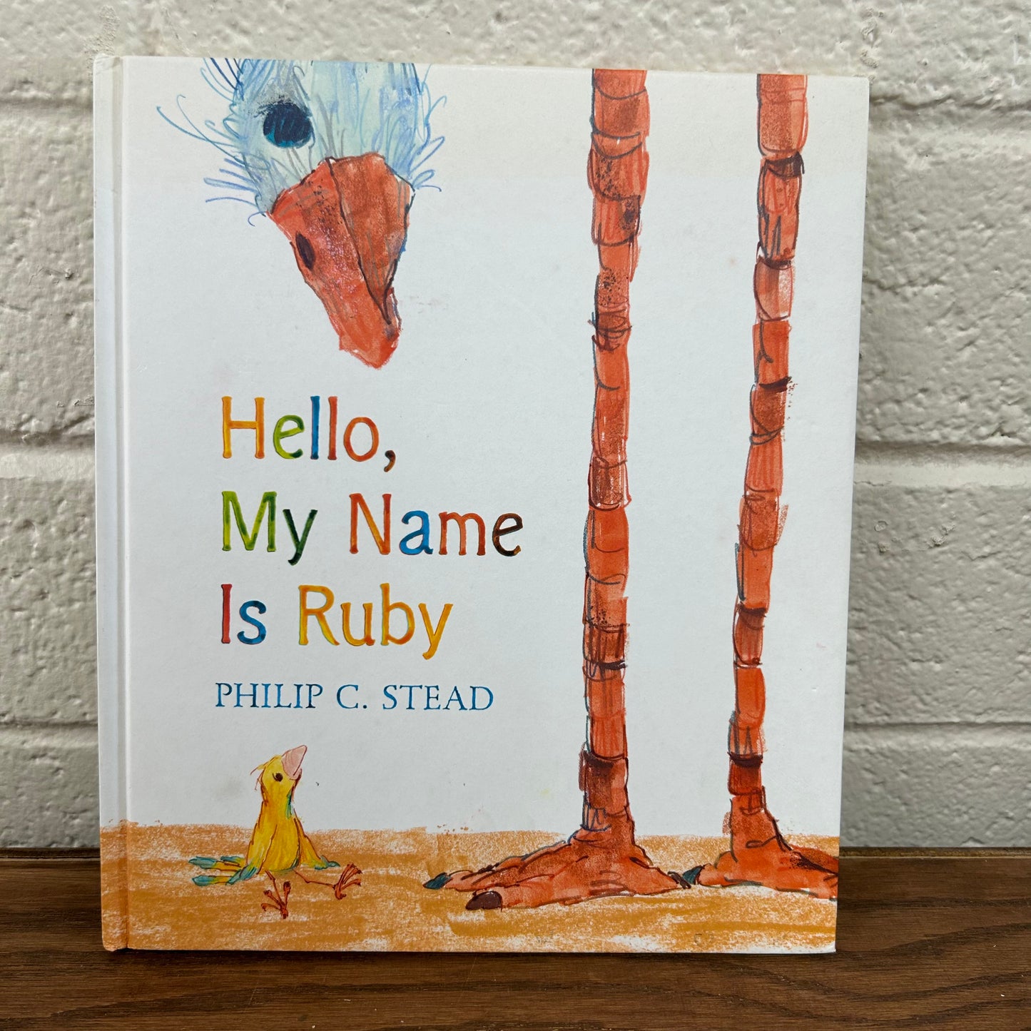 Hello, My Name is Ruby
