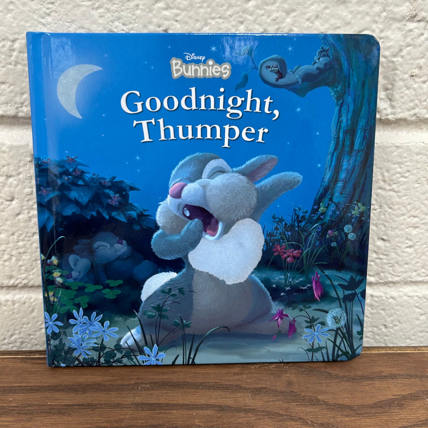 Goodnight Thumper