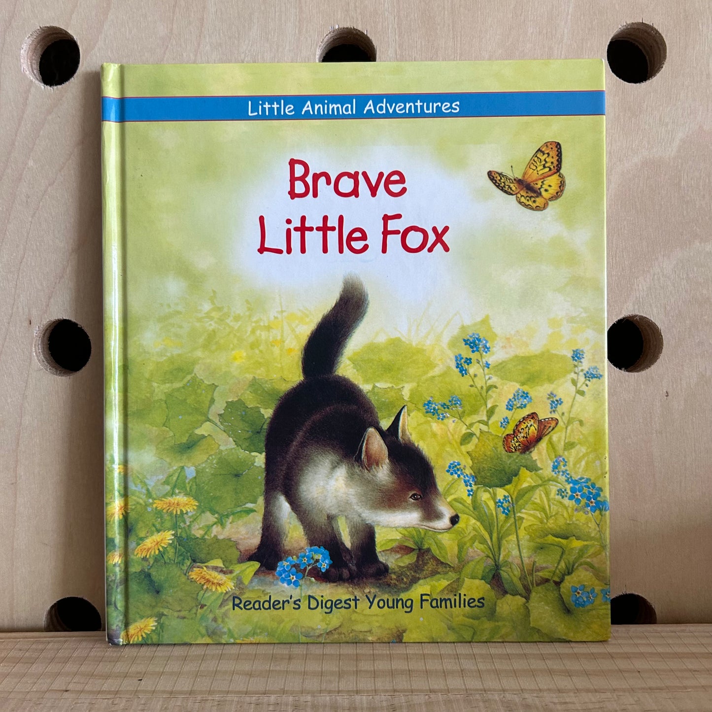 Brave Little Fox