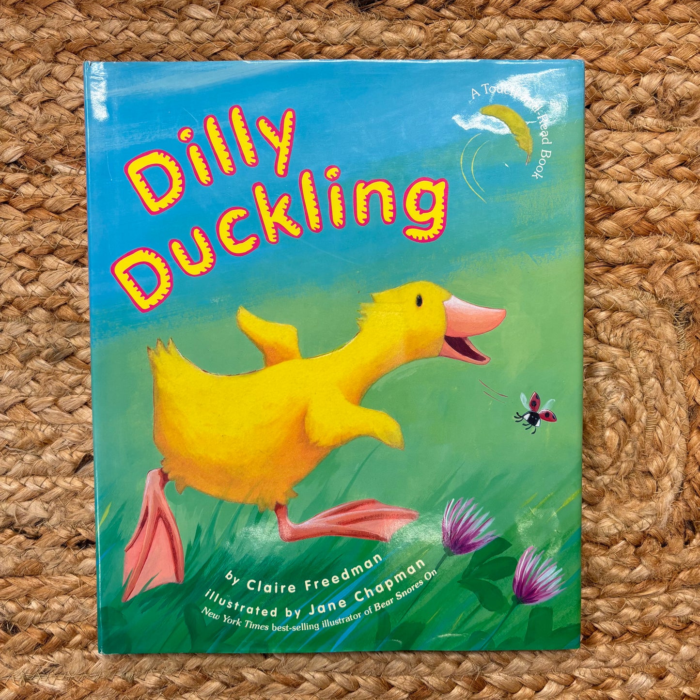 Dilly Duckling