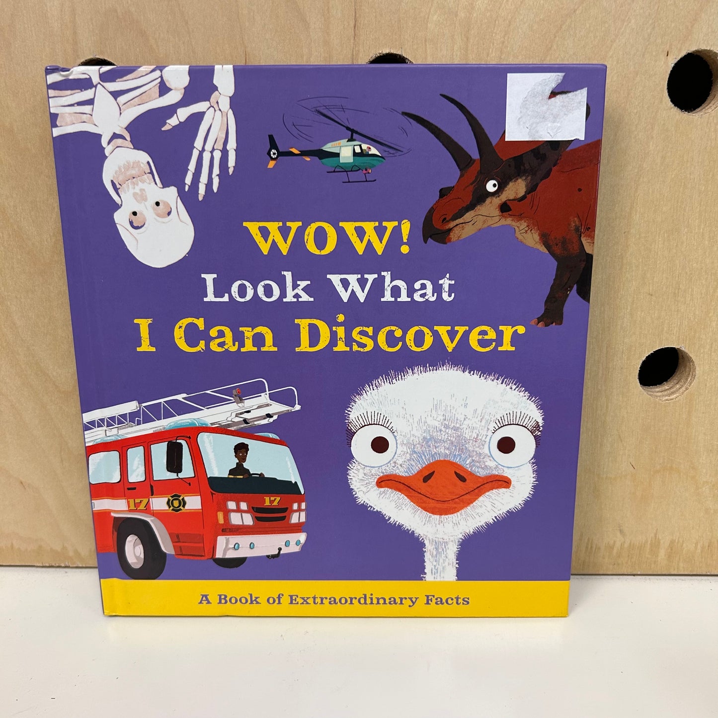 Wow! Look What I Can Discover