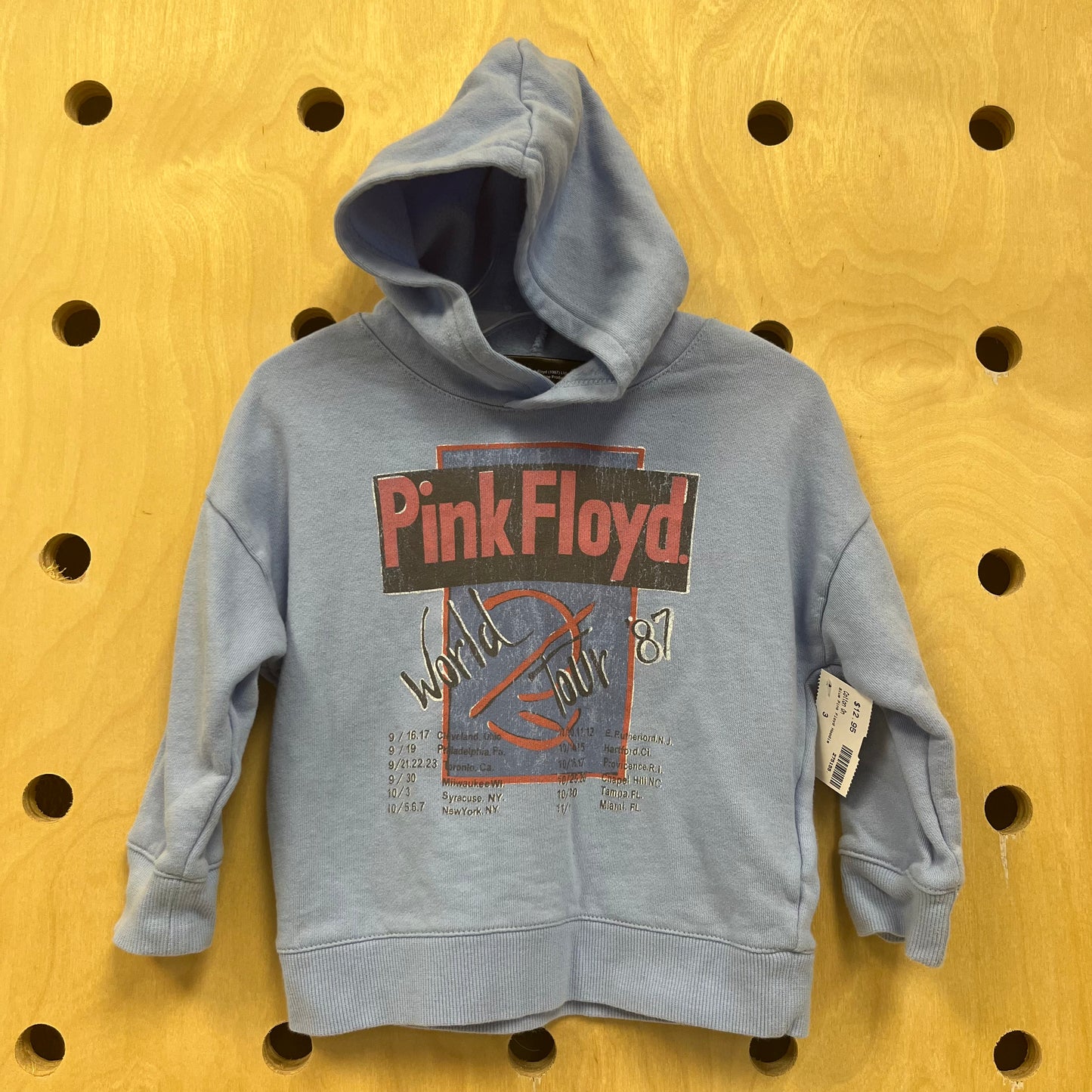 Blue Pink Floyd Hoodie