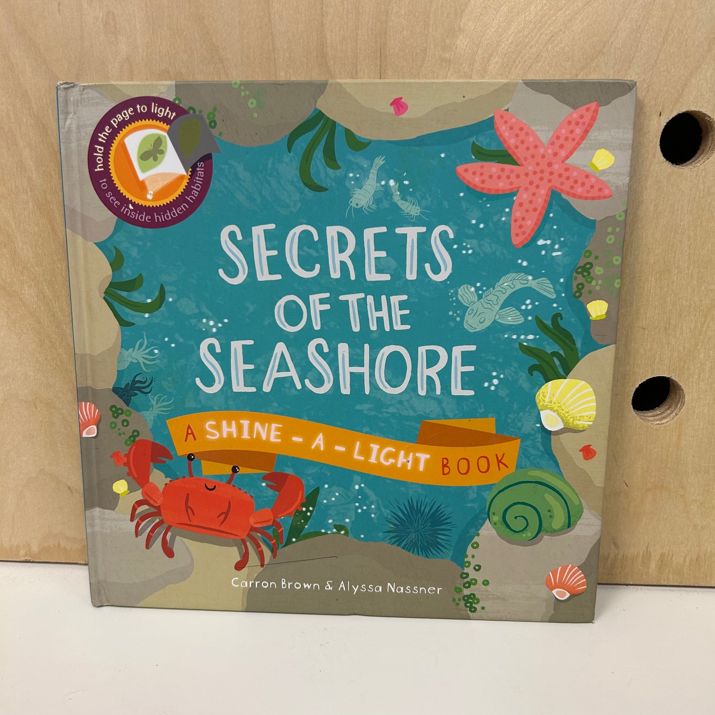 Secrets of the Seashore