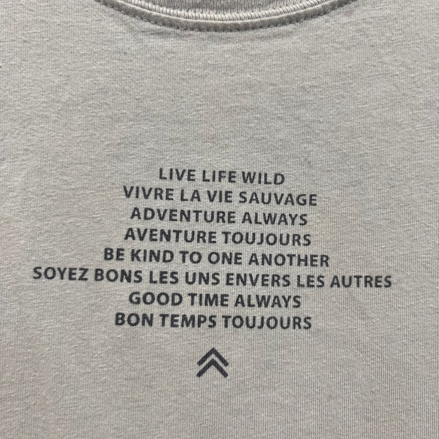 Grey Nevermind The Chaos Tee