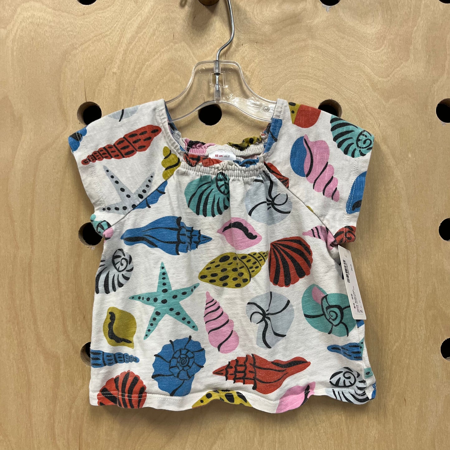 White Seashell Top