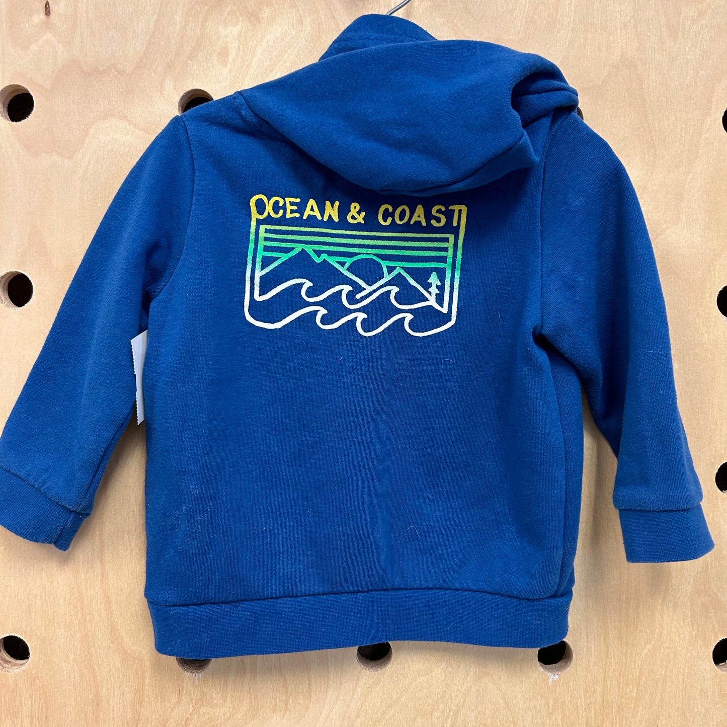 Blue Logo Hoodie