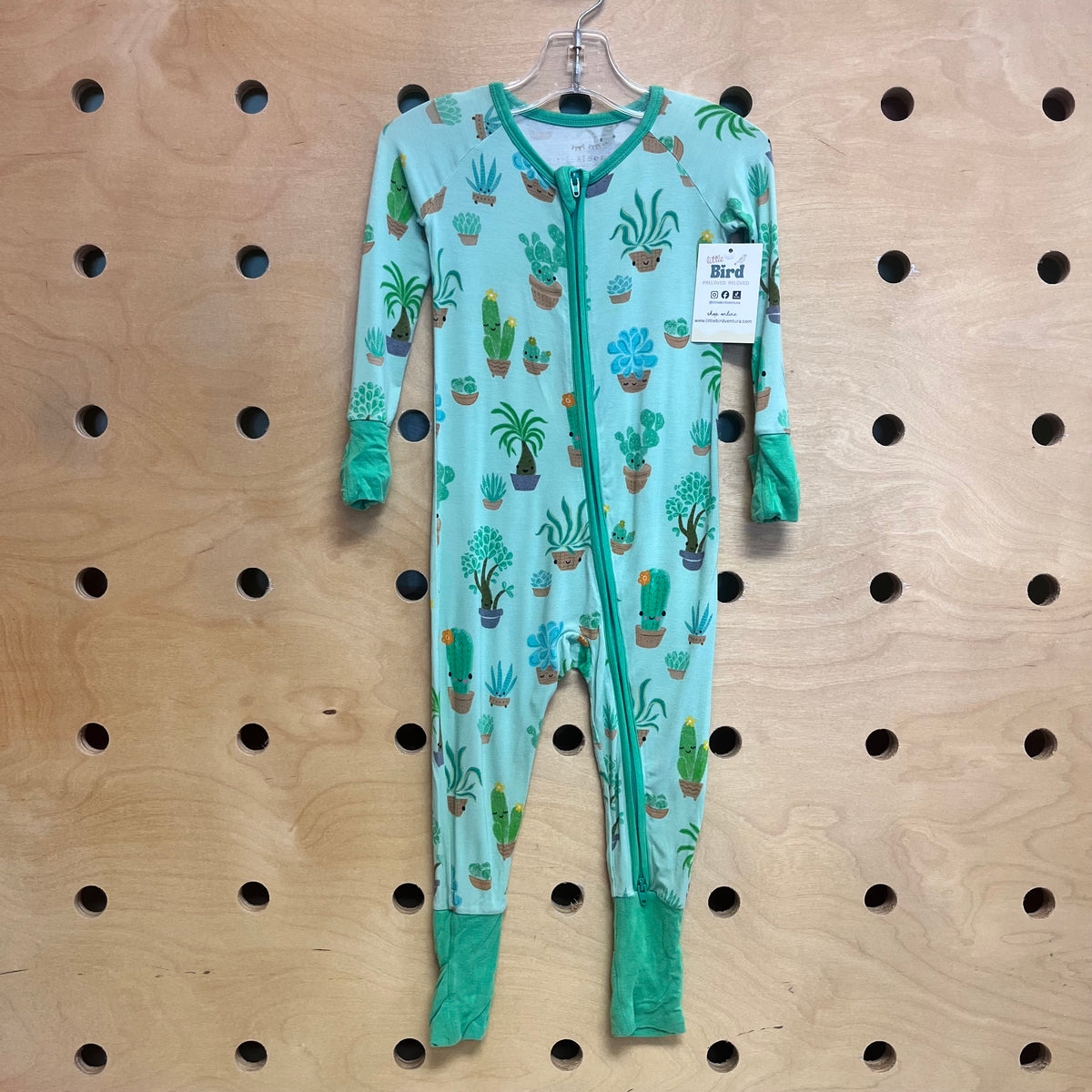 Green Bamboo Happy Plants Zippy