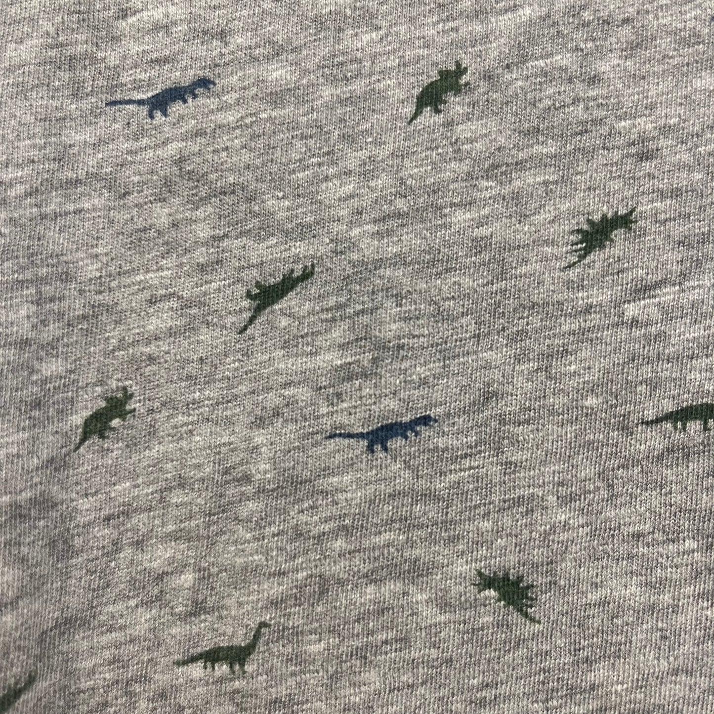 Grey & Green Dino Henley