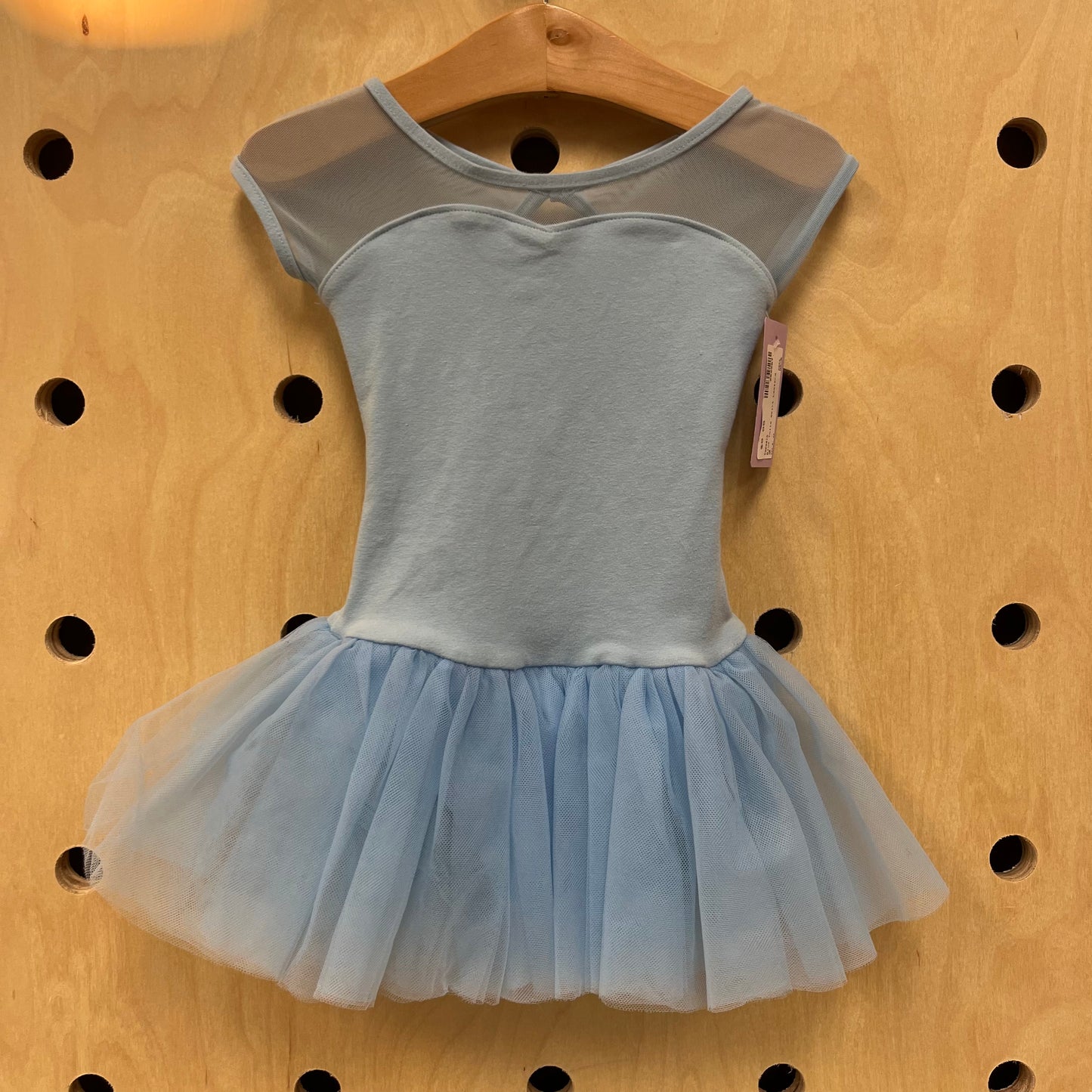 Blue Tulle Skirt Leotard