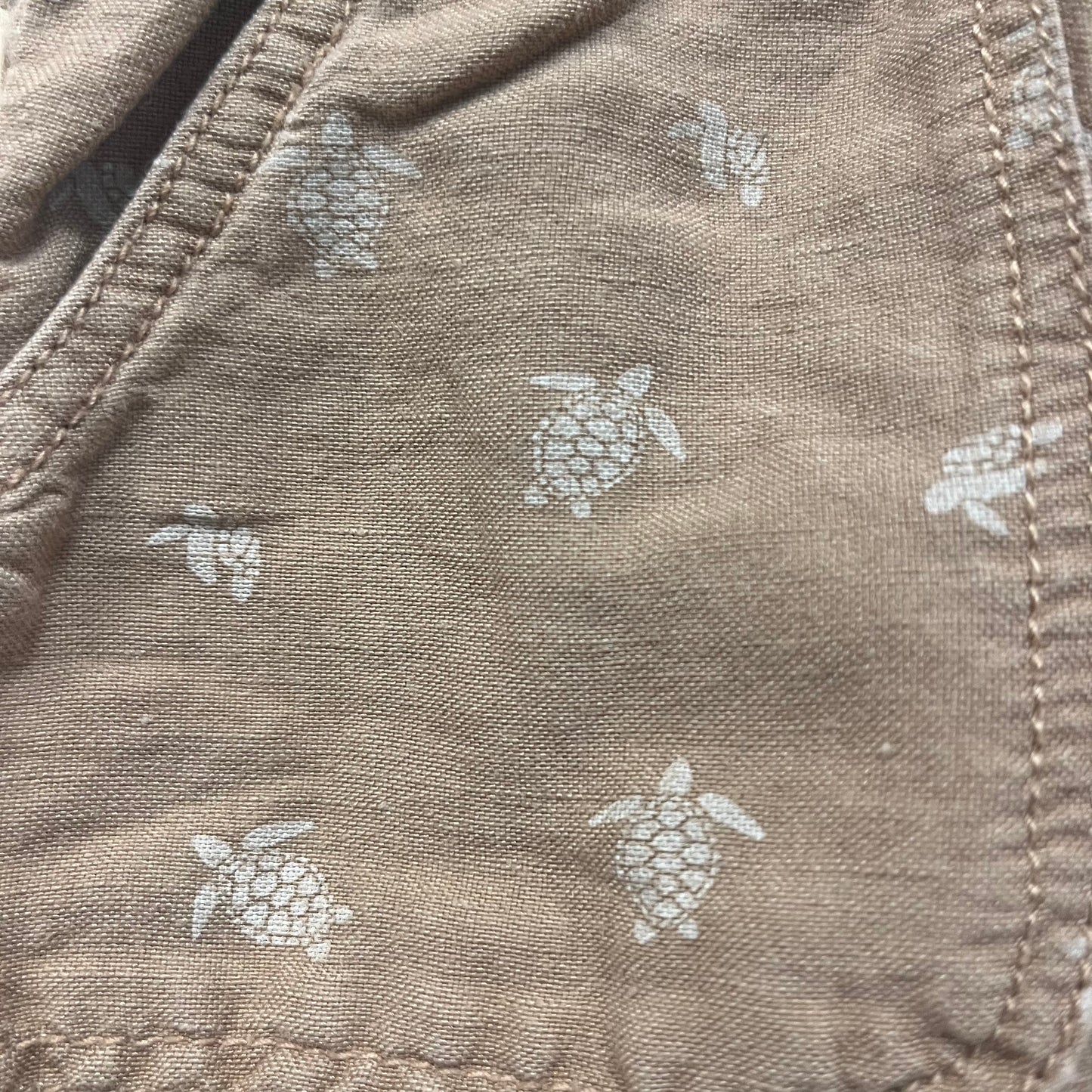 Sea Turtle Shorts