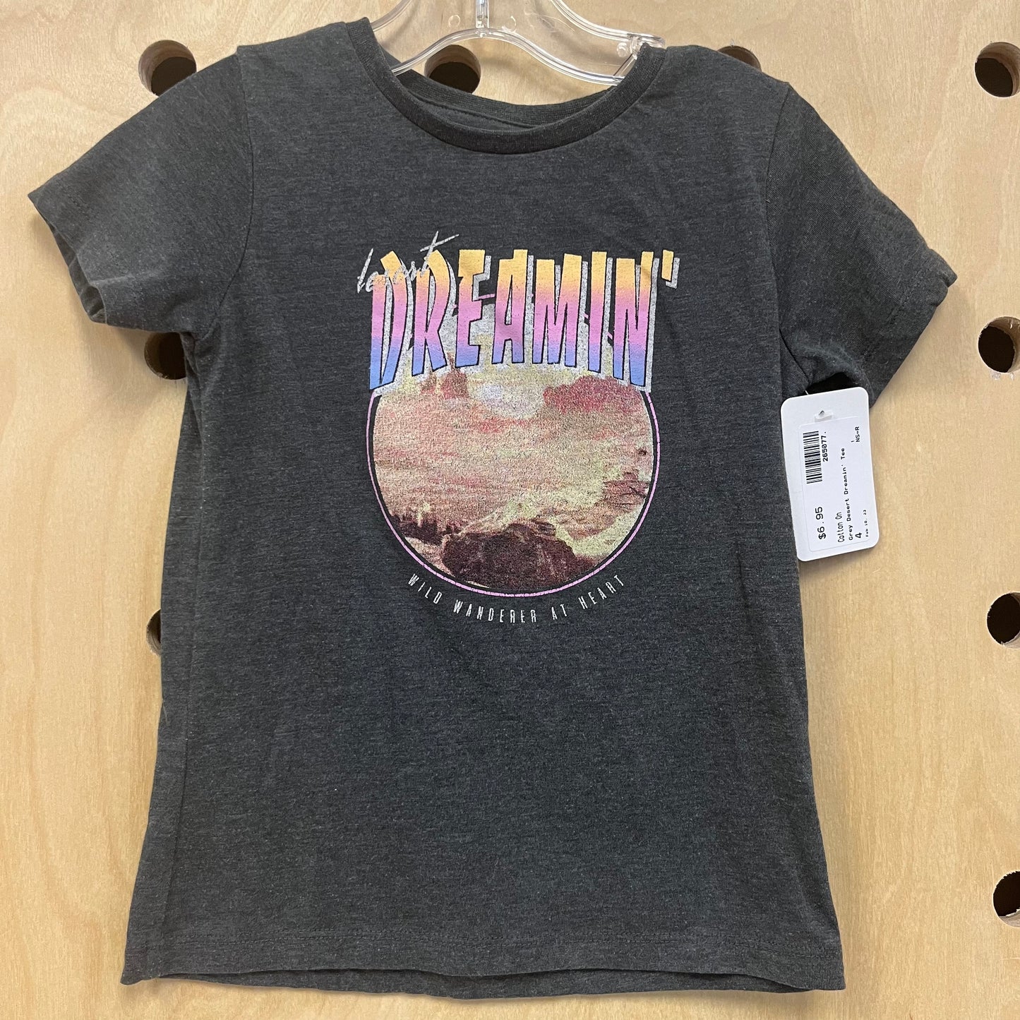 Grey Desert Dreamin' Tee