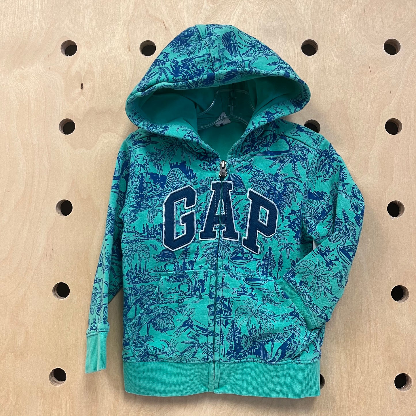 Teal Dinosaur Zip Hoodie