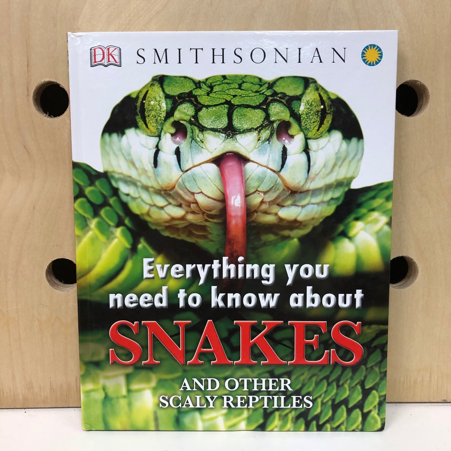 Everything You Need to Know About Snakes
