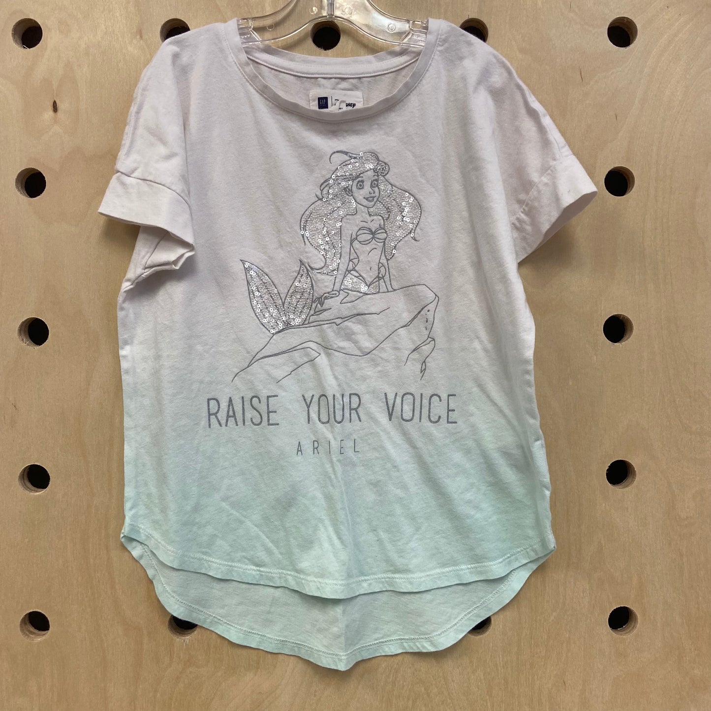 Raise Your Voice Ombre Ariel T