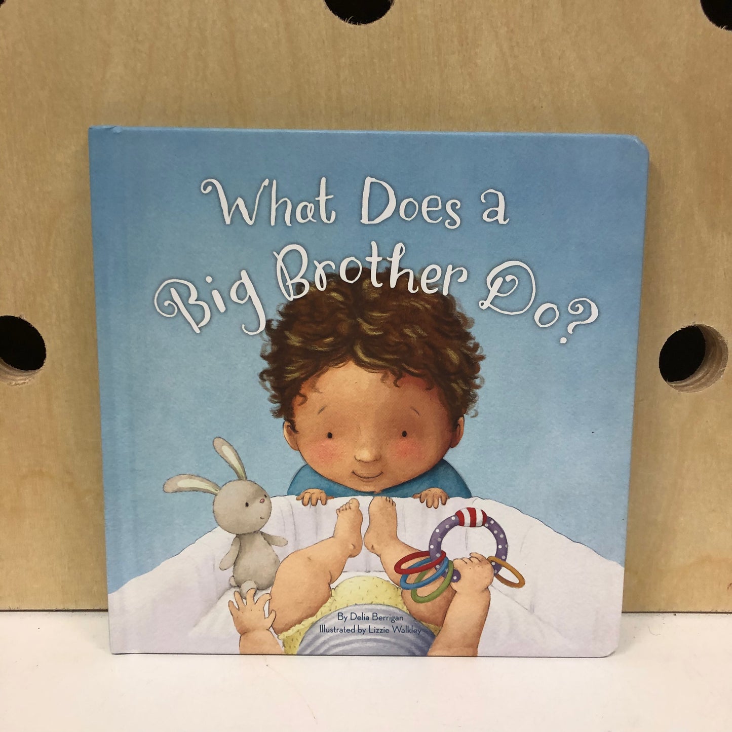 What Does a Big Brother Do?